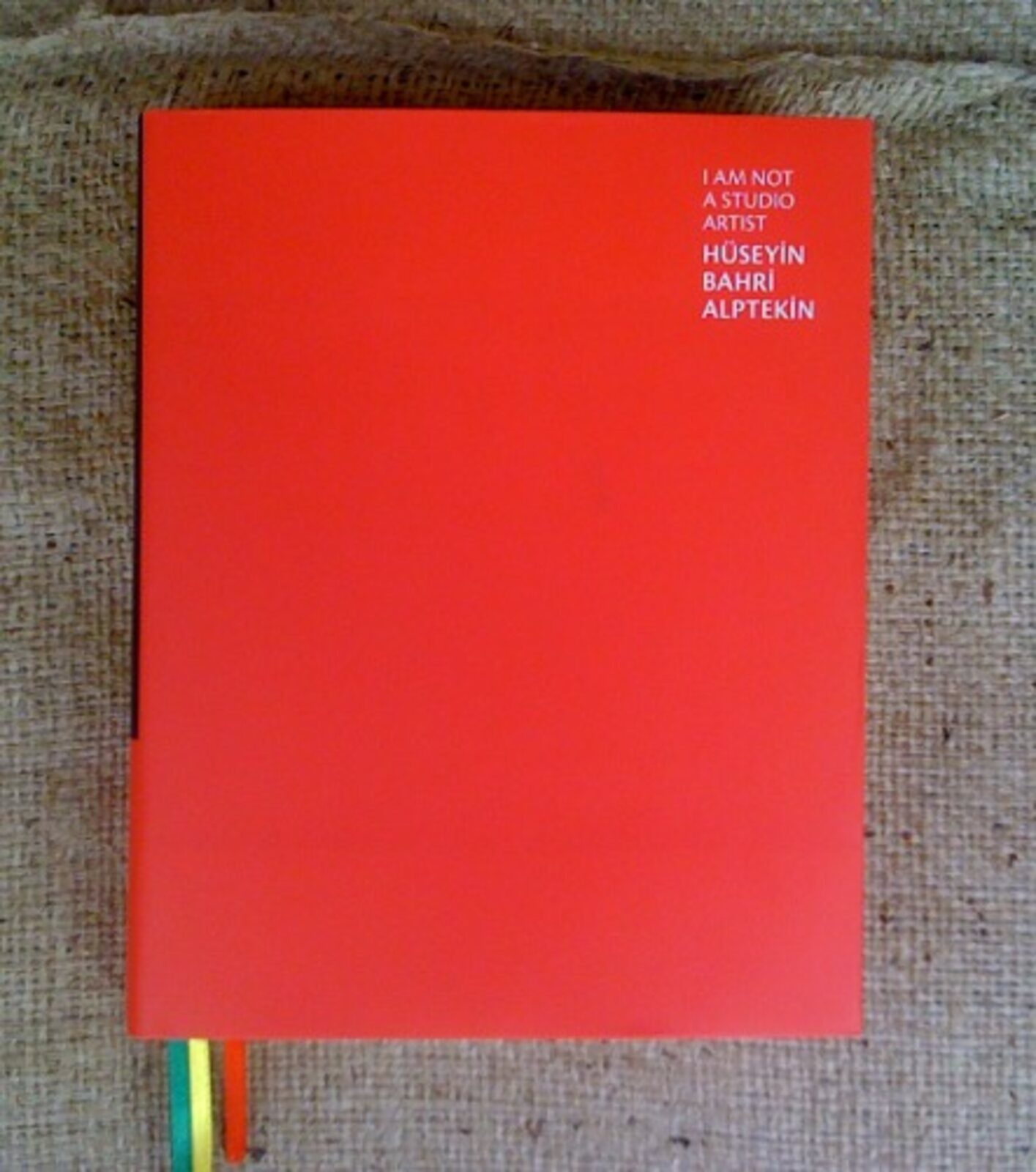 I Am Not a Studio Artist — Hüseyin Bahri Alptekin, published by SALT